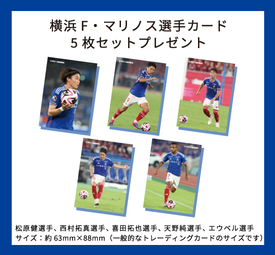 横浜F・マリノス サッカーカード 野太く